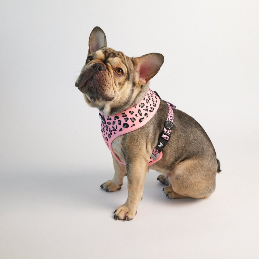 Reversible Harness - Spotted Pink