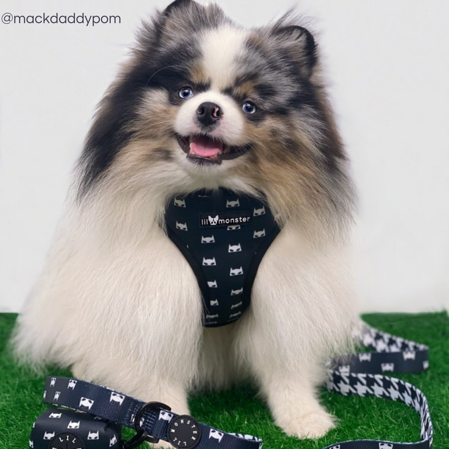 Reversible Harness - Superhero